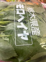 JA栃木 モロヘイヤ