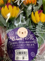 ポピー 盆花ブッシュ FP-0340