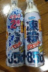 フマキラー 凍殺ジェット 300ml×2
