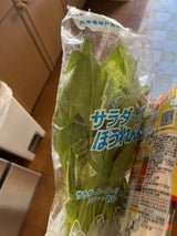 JA六甲 サラダほうれん草