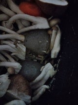 誠実村 大洲いもたきこんにゃく 220g