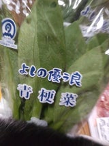 第一包装 ちんげん菜