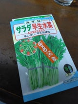 ウタネ 早生千筋京水菜