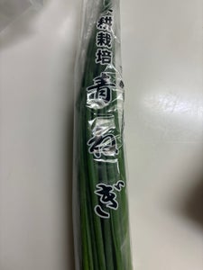 COOPひろしま 水耕栽培青ねぎ 1P