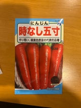 宇都宮 五寸人参