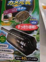 GEX カメ元気フィルター 1個