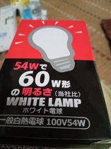 東洋 ホワイトフロスト電球一般白熱 54W