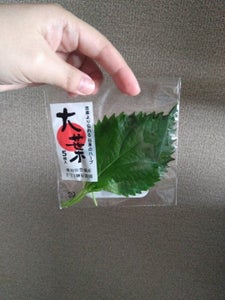 榊原 大葉 30枚