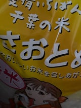 三多摩 千葉ふさおとめ 5kg