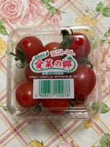JA島根 ミニトマト