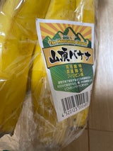 ヒロ フィリピン産山頂バナナ 1P