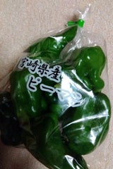 宮崎竹田 ピーマン