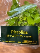 グッドリーフ ピッコリーナ 1P