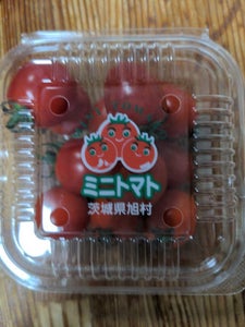 光洋 茨城旭村ミニトマト 250g