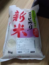 森光 熊本県産キヌヒカリ 5kg