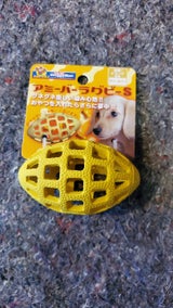 DM アミーバーラグビー S