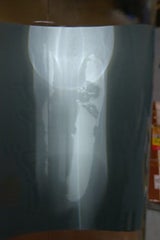 能勢 桜川サイダー 330ml