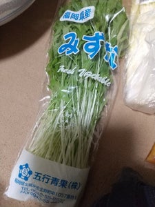 マルシン　みずな　Ｌの商品写真