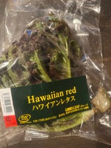 グッドリーフ ハワイアンレタス 1玉