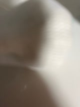 坂田 香川産にんにく 1P