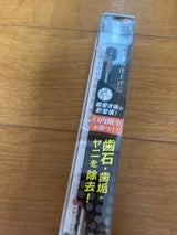 大木 歯石とり 1本