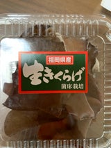 南国きのこ苑 生きくらげ 80g