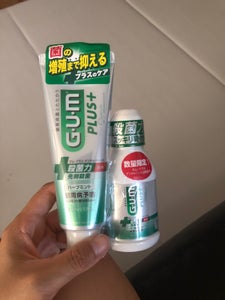 ガムプラス　ペーストＨ＋リンス　８０ｍｌの商品写真