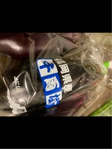 マルシン 千両なす