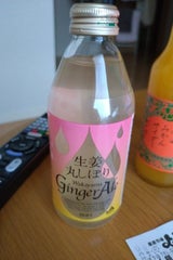 JAわかやま 生姜丸しぼりジンジャエール250ml