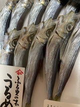 ヤマジン うるめ丸干し 国産