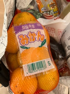 ユーシーポリマー 愛媛県産みかん S