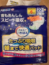 いちばん たっぷり吸収朝まで快適パッド共用 22枚