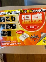 温感アウチレスシップMS 28枚