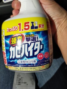 花王 強力カビハイターハンディスプレー 600ml