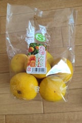 丸一苫小牧中央青果 みかん 和歌山有田みかん道内用