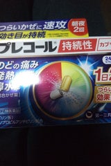 プレコール持続性カプセル 24カプセル