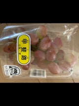 山梨一宮 甲斐路