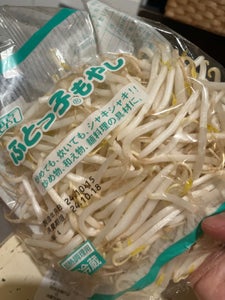 川崎食品 ふとっ子もやし