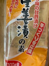 岐阜食品 新生姜漬の素 250ml