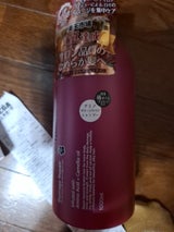 サロンリンクアミノダメージリペア椿SP1000ml