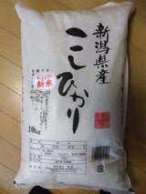 高廣 新潟県産こしひかり 10kg