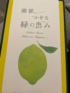 横尾商事 湘南グリーンレモンケーキ 5個