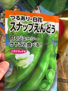 日本農産 スナップえんどうつるあり白花 1P