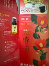 本島椿 純椿油 プッシュタイプ 62ml