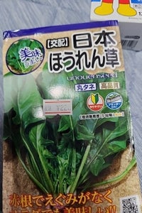 宇都宮農園 交配日本法蓮草