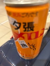 札幌G 夕張市農協 夕張メロン完熟しぼり 190g