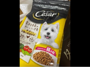 シーザーD成犬チキンと4種農園野菜入超小粒700g