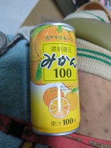 ジューシー みかん100% 190g