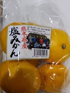 丸善商事 みかん 塩みかん 熊本 1kg