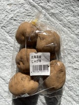 シンジヤガイモ